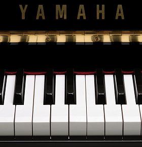 FBK Legal’s Team Defends Interests of Yamaha Motor CIS in Court 